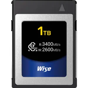 Wise Advanced 1TB Type B 4.0 Memory Card